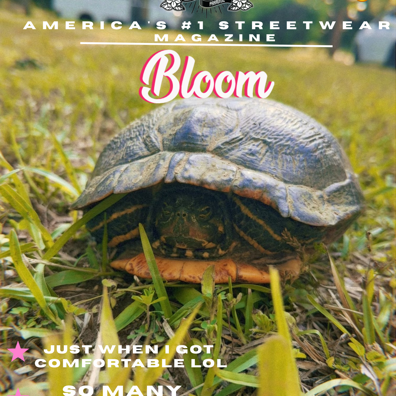 ISSUE #4 BLOOM